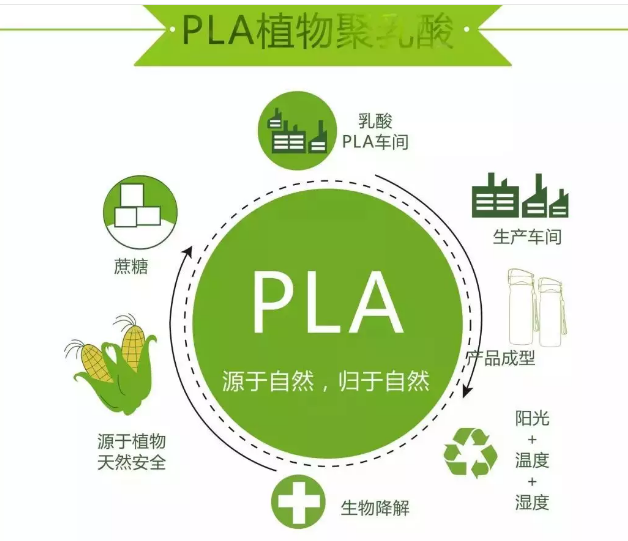 5ddb35e33eb67.png 5ddb35e33eb67.png